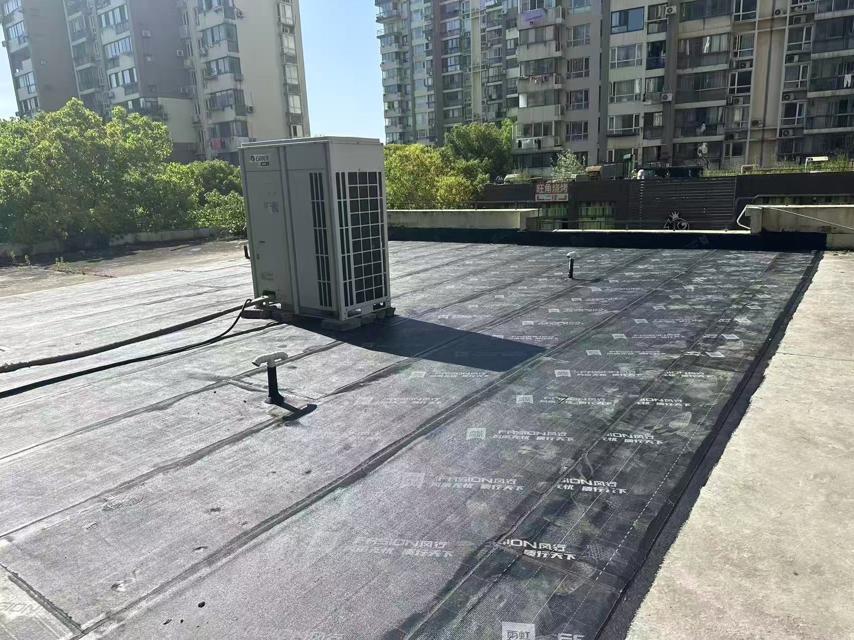 dm17.jpg